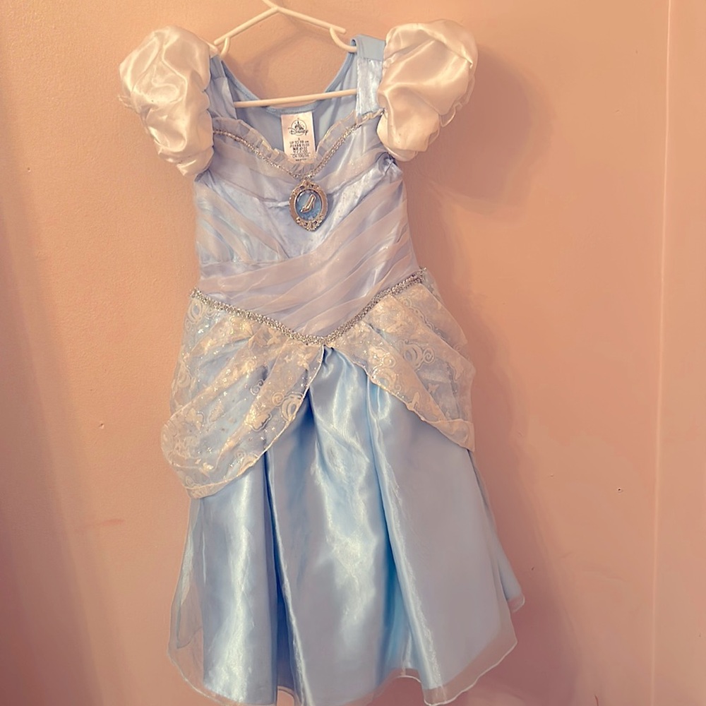 Disney Parks Cinderella Dress